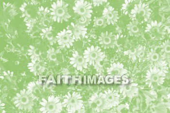 flower, Easter, background, content, object, representation, perception, perceptual, experience, visual, image, View, concept, conceptual, idea, desktop, screen, Presentation, Present, show, showing, powerpoint, slide, media, graphic, graphics