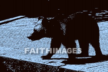 bear, wildlife, background, content, object, representation, perception, perceptual, experience, visual, image, View, concept, conceptual, idea, desktop, screen, Presentation, Present, show, showing, powerpoint, slide, media, graphic, graphics