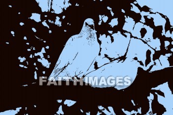 Dove, wildlife, background, content, object, representation, perception, perceptual, experience, visual, image, View, concept, conceptual, idea, desktop, screen, Presentation, Present, show, showing, powerpoint, slide, media, graphic, graphics