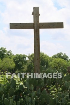 Cross, cactus, san juan, san juan capistrano, mission, san antonio, franciscan, spanish, catholic, coahuiltecan, crosses, cacti, cactuses, missions, catholics