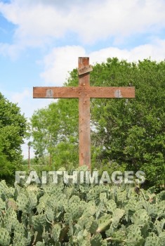 Cross, cactus, san juan, san juan capistrano, mission, san antonio, franciscan, spanish, catholic, coahuiltecan, crosses, cacti, cactuses, missions, catholics